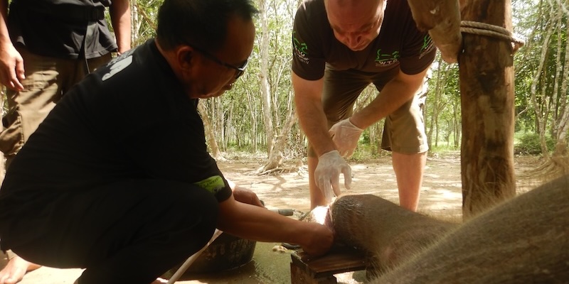 Dr Christopher Stremme and the team at the Wildlife Ambulance inspect the wound