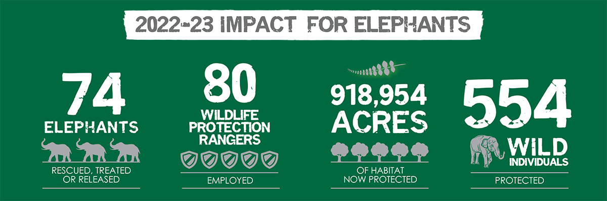 Our Impact by the Numbers